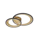 LED stropné osvetlenie Trio Granada čierna 673810232