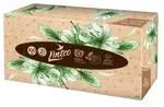 Linteo Papírové kapesníky 2-vrstvé box 100 ks