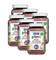 SALVEST Põnn BIO Borůvky s ovesnými vločkami 6x190 g