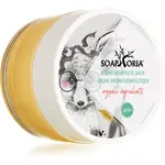 Soaphoria Babyphoria Aromatherapeutic Balm balzam pri chrípke a prechladnutí 50 ml