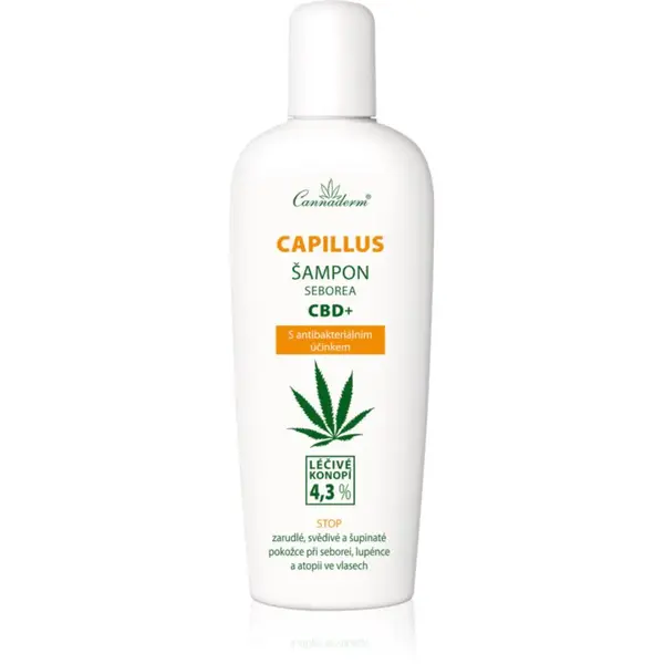 Cannaderm Capillus Seborea CBD+ šampón šampón proti lupinám 150 ml