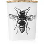 Vila Hermanos Insect Calabrone vonná sviečka 75 g