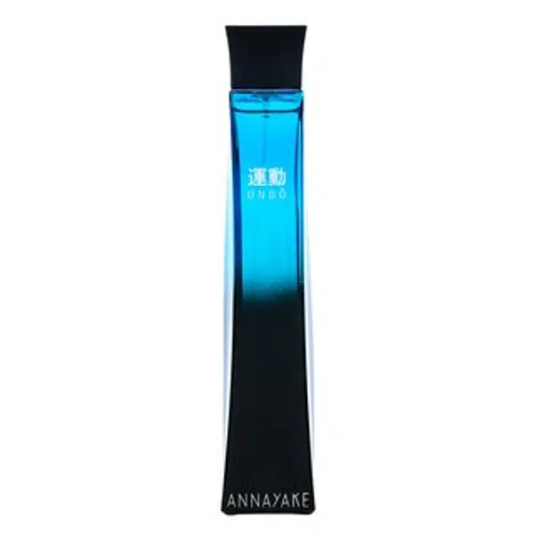Annayake Undo Pour Homme toaletní voda pro muže 100 ml