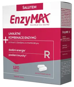 ENZYMAX R 120 kapslí