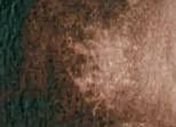 Akvarelová barva DS 1/2 – 011 Burnt Umber