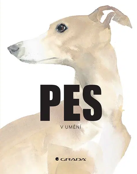 Pes v umění,