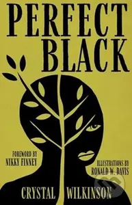 Perfect Black - Crystal Wilkinson, Ronald W. Davis, Nikky Finney