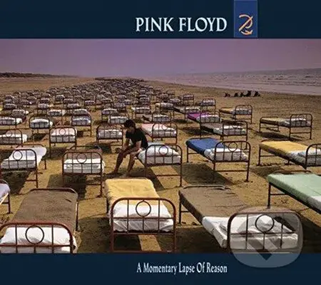 Pink Floyd: A Momentary Lapse Of Reason - Pink Floyd