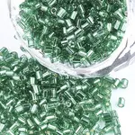 FGB Grade A Glass Seed Beads