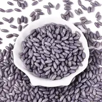 Opaque Colours Glass Seed Beads