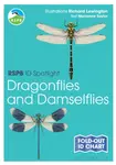 RSPB ID Spotlight - Dragonflies and Damselflies - Taylor Marianne