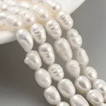 Natural Cultured Freshwater Pearl Beads Strands