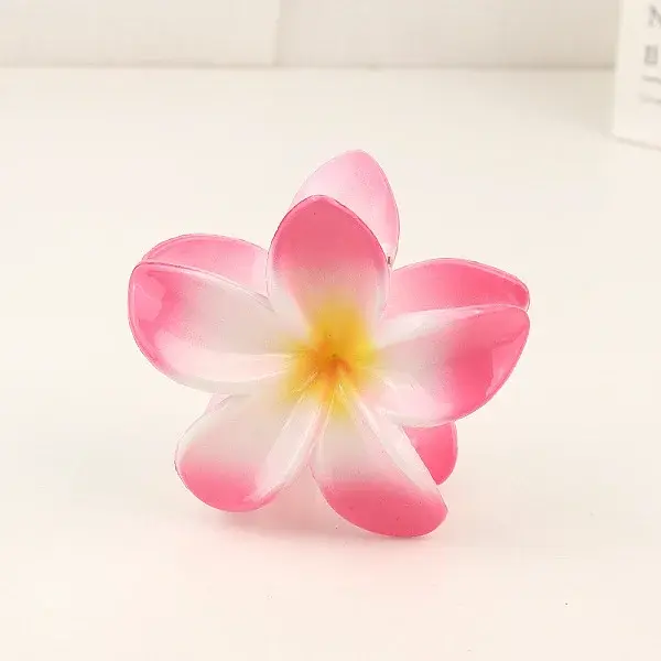 Plastic Claw Hair Clip