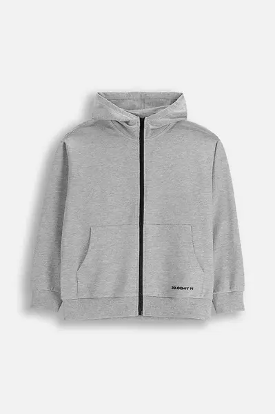 Dětská bavlněná mikina Coccodrillo šedá barva, s kapucí, s potiskem, EVERYDAY BOY A