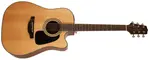 Takamine GD30CE-NAT