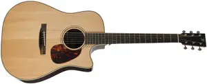 Furch Vintage 1 Dc-SR CNR Active