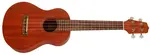 Takamine EGU-C1