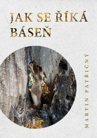 Jak se říká báseň - Martin Patřičný