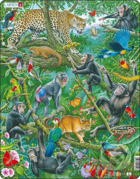 Africký dažďový les FH41 - puzzle z kategorie Naučné puzzle