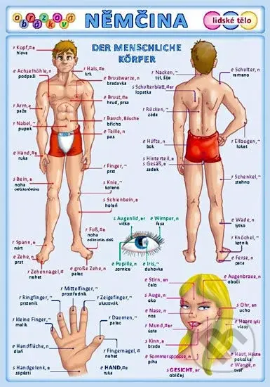 Obrázková němčina: Lidské tělo - Petr Kupka - kniha z kategorie Jazykové učebnice a slovníky
