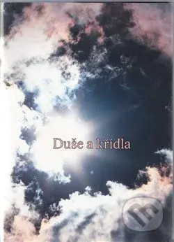 Duše a křídla (Povídání na cestu) - Miroslav Zámečník - kniha z kategorie Společenská beletrie