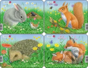 Zajac, veverička, ježko, líška (Z12) (Sada 4 puzzle) - puzzle z kategorie Naučné puzzle