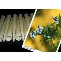 Telové sviečky cédrové 10ks