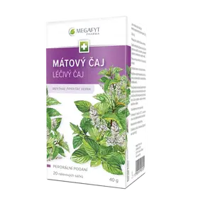 Megafyt Mátový čaj nálevové sáčky 20x2 g