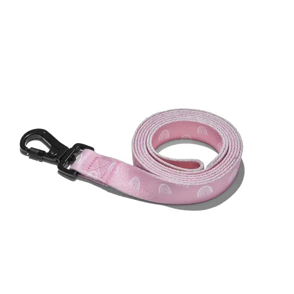 Explorer dog Vodítko Duha L - 170x2,5 cm