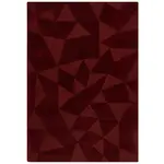 Flair Rugs RUČNĚ TKANÝ KOBEREC, 160/230 cm červená