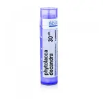 BOIRON Phytolacca Decandra CH30 4 g