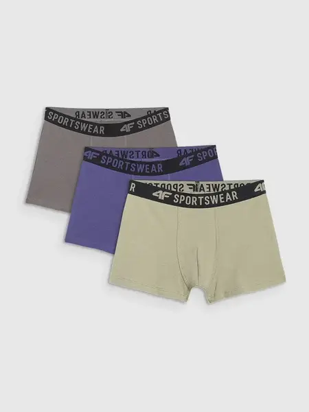 Boys' boxers 4F (3pack)