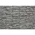 Kamenný obklad Vaspo Kameň považan sivá 6,7x37,5 cm V53206