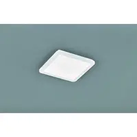 LED stropné osvetlenie Reality Camillus biela RE R62931801