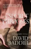 The Secret Purposes - David Baddiel