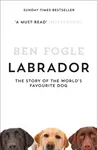 Labrador - Fogle Ben