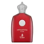 Emir Opulentia Flame parfémovaná voda pro muže 100 ml