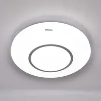 Stropná lampa Ringe LED 03282 16W 4000K