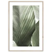 Obraz Artbox Digi 50x70 Br002 Macro