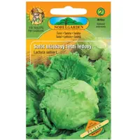 Šalát hlávkový letný ľadový Pražan