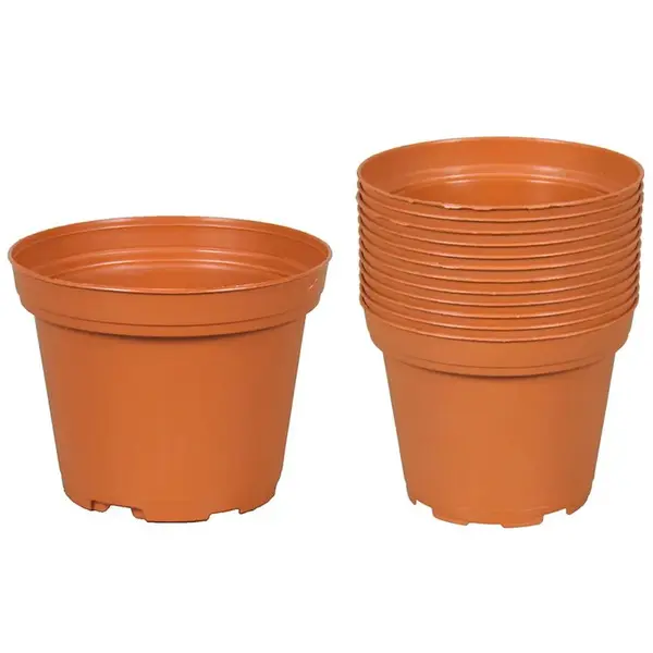 Obal classic tod d8cm 15ks