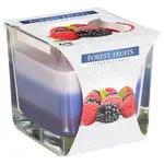 Vonná sviečka SNK80-13 lesné plody