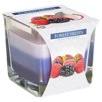 Vonná sviečka SNK80-13 lesné plody