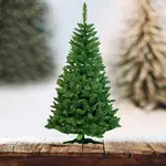 Stromek borovice extra 250 cm.