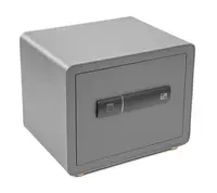 Trezor G21 na otisk prstu 380x310x300mm