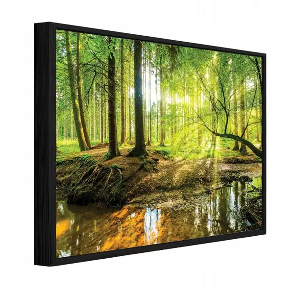 Wallarena ZARÁMOVANÉ obrazy les stromy zelená 100x70 cm