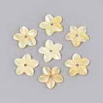 Natural Yellow Shell Carved Beads