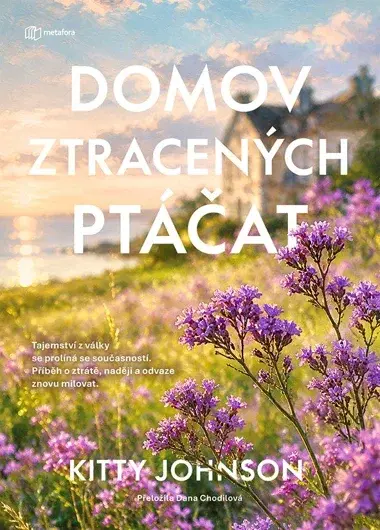 Domov ztracených ptáčat, Johnson Kitty