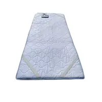 Pulzný magnetoterapeutický prístroj, magnetoterapia - celotelový matrac, TeraMagon