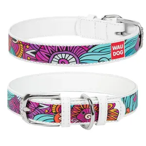 Kožený obojok so vzorom SUMMER biely, Obvod krku: 21-29 cm, širka: 12 mm